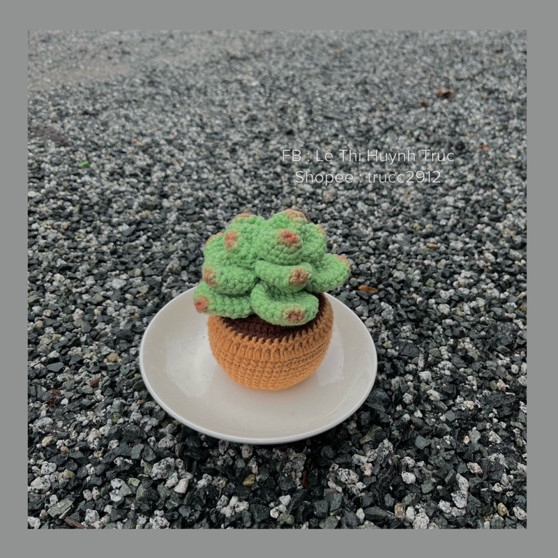 Chậu sen đá mini bằng len