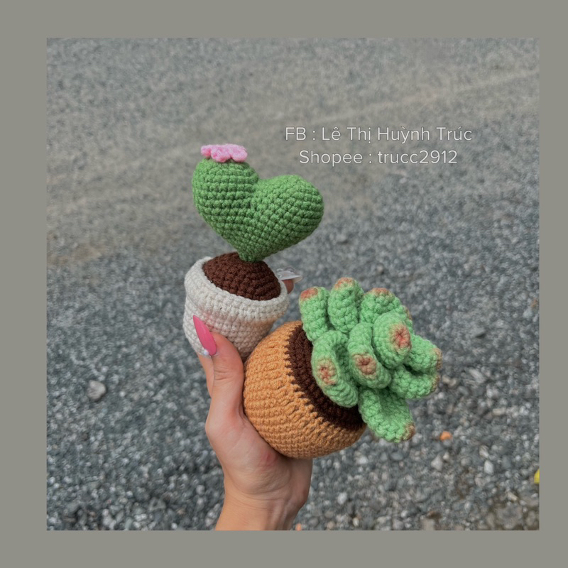 Chậu sen đá mini bằng len