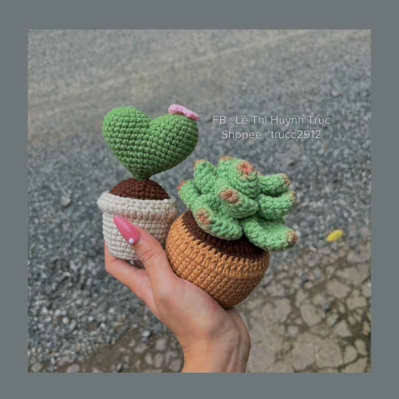 Chậu sen đá mini bằng len