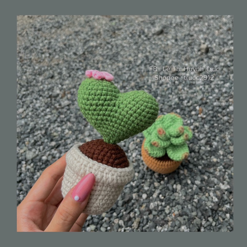 Chậu sen đá mini bằng len