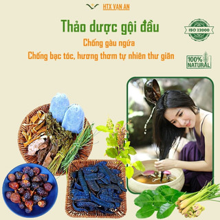 Gói Thảo dược gội đầu túi lọc mới chăm sóc tóc giảm bạc rụng tóc và gàu sạch da đầu hương thơm tự nhiên thư giãn