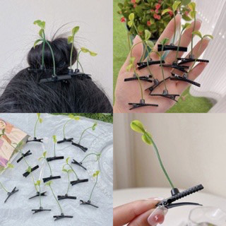 Kẹp tóc siu to khổng lồ