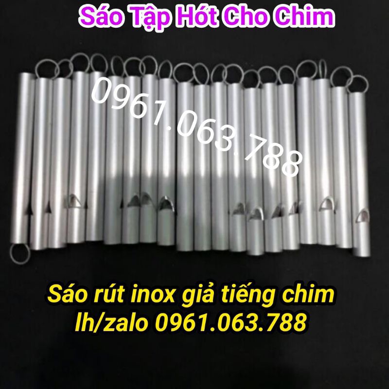 Sáo Rút Giả Tiếng Chim Hót , Âm Thanh Cực Hay, Giá Siêu Rẻ