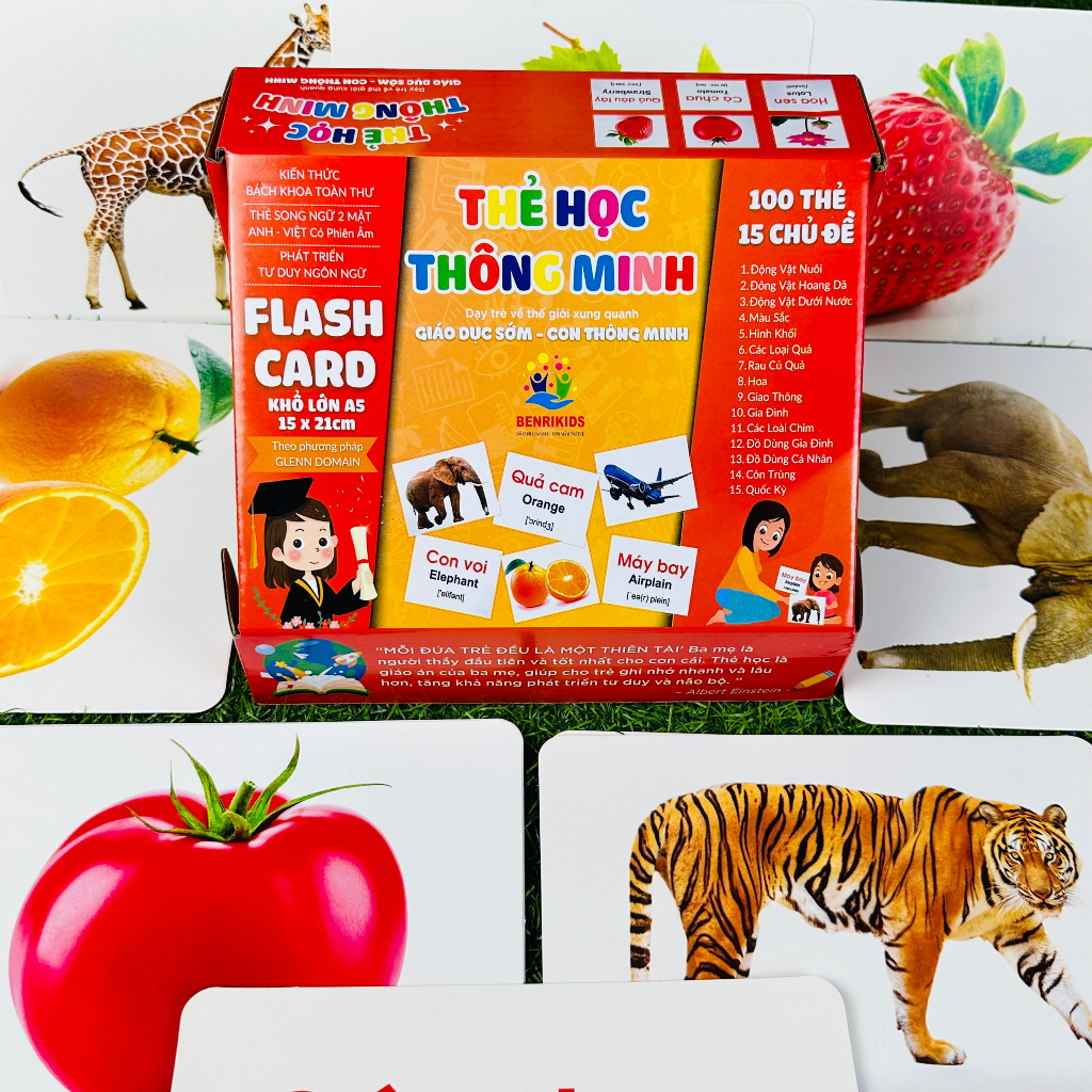 Thẻ Học Song Ngữ Thông Minh Cỡ Đại Khổ A5 Benrikids Bộ 100 Thẻ Học 15x21Cm Giúp Bé Học Tiếng Anh Hiệu Quả