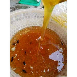 MẬT ONG HOA CÀ PHÊ NGUYÊN CHẤT - chai 1 lít