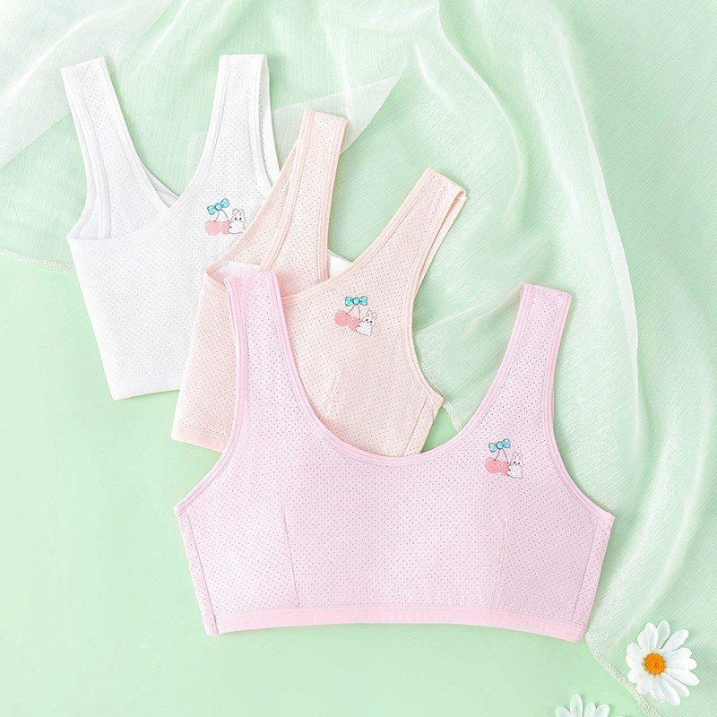 Áo lá học sinh A911 cho bé gái mới dậy thì