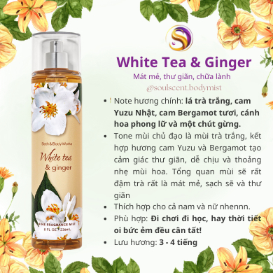 Body mist White Tea & Ginger xịt thơm toàn thân Bath & Body Works (AUTH Mỹ) | Soul Scent
