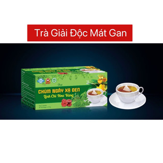 Trà giải độc mát gan chùm ngây xạ đen linh chi
