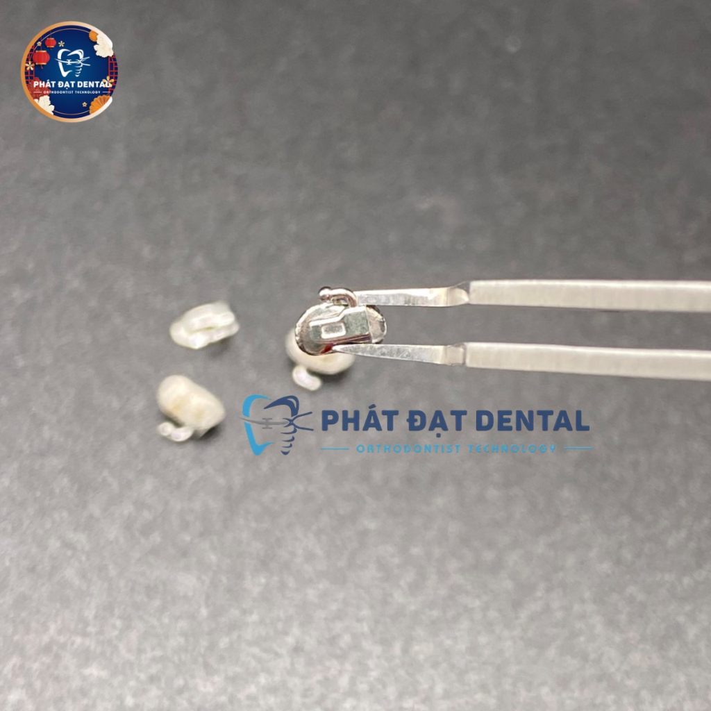 Mắc Cài Kim Loại Răng Số 7 Chỉnh Nha