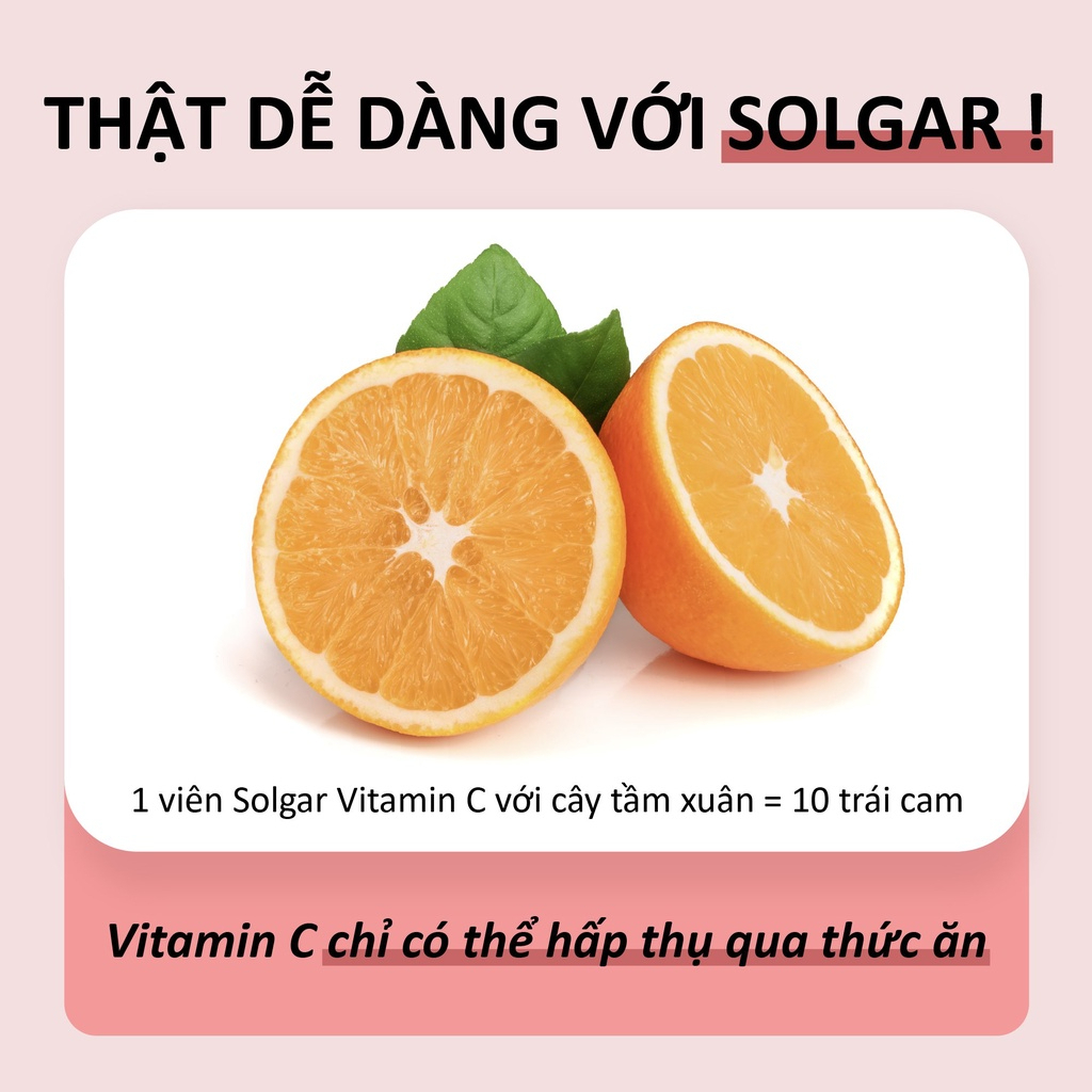 Viên Uống Chiết Xuất Cây Tầm Xuân SOLGAR VITAMIN C 500 MG WITH ROSE HIPS - Hỗ Trợ Tăng Cường Sức Đề Kháng, Đẹp Da 100v