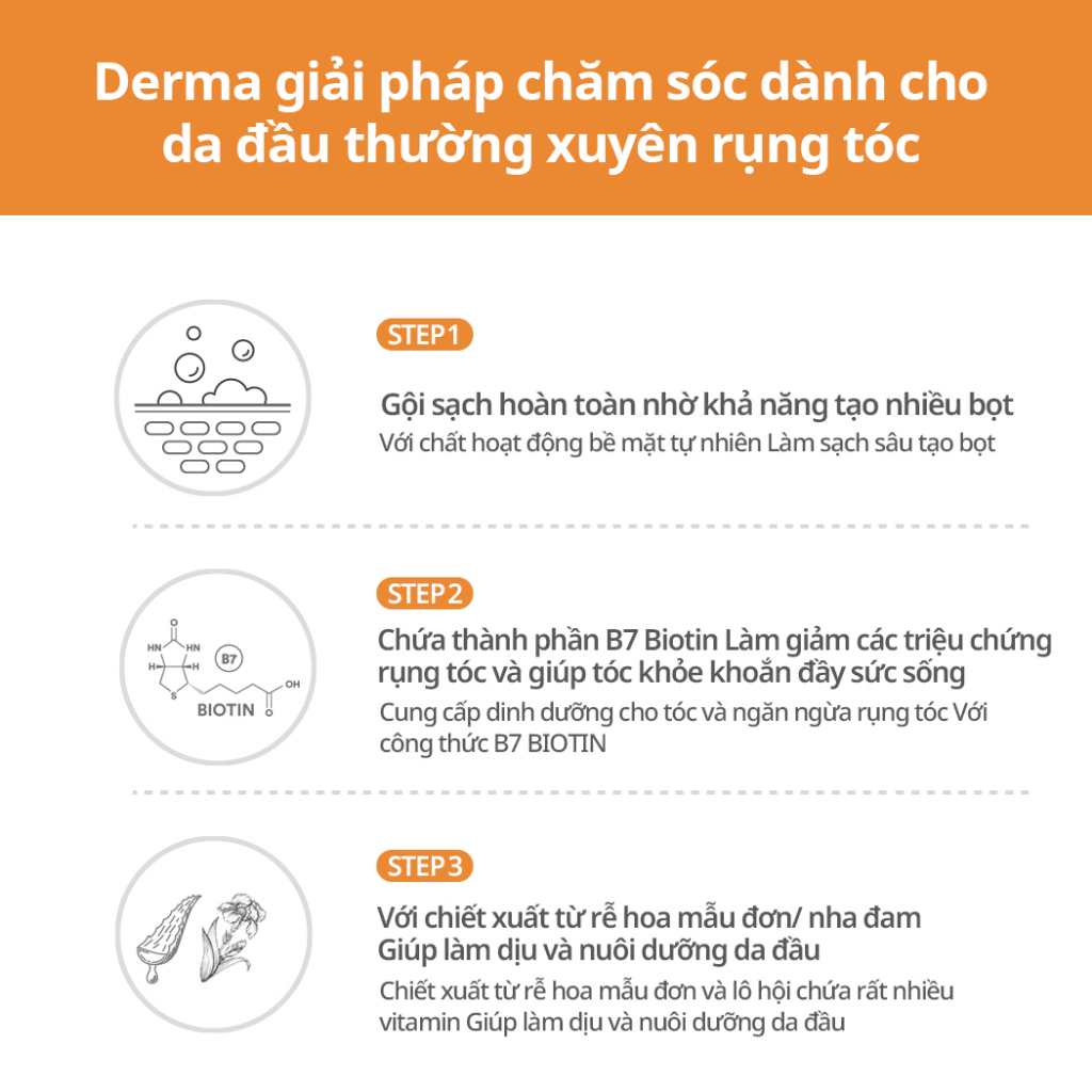 Dầu Gội Kích Mọc Tóc B7 Biotin Derma & More Giảm Rụng Tóc, Dưỡng Tóc Nhanh Dài, Suôn Mượt Và Chắc Khoẻ 600ml