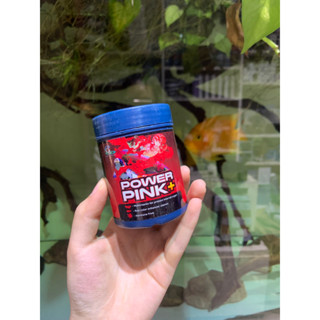 Power Pink sản phẩm tăng màu sắc cho cá cảnh