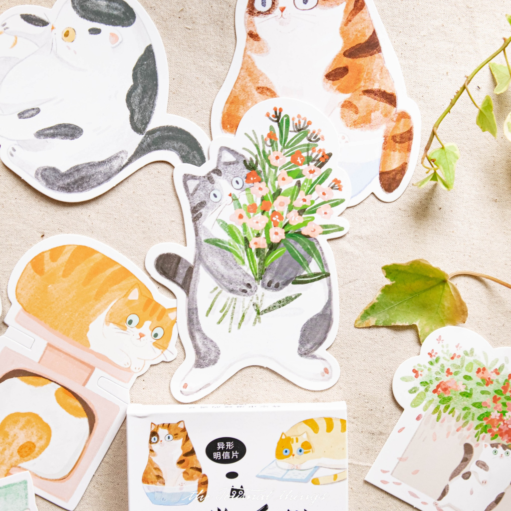 Postcard lẻ - Thiệp lẻ