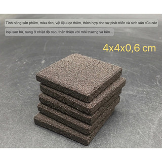 Đế frag siêu xốp gắn san hô cho bể cá biển, bể nước mặn