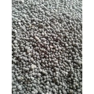 1kg phân dê cho lan đã qua xử lý