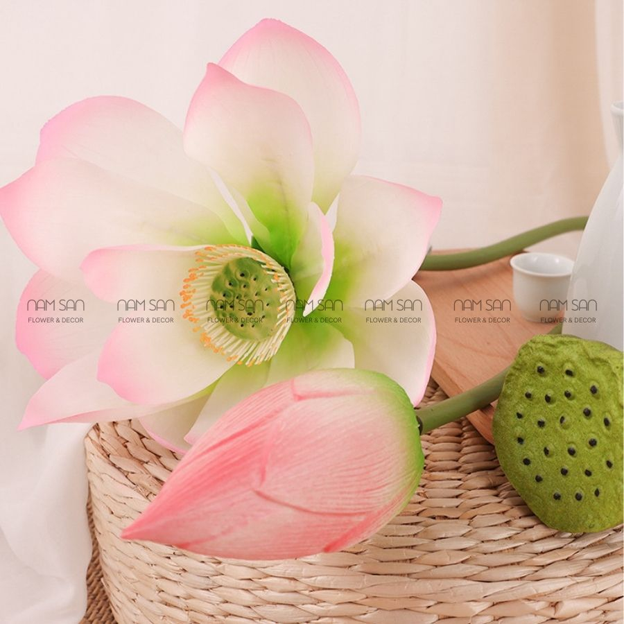 Hoa sen nở to Bông Cao Su PU các loại 24 30 cm trang trí cao cấp