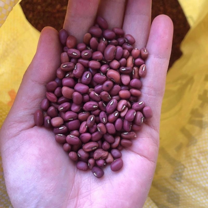 đậu đỏ nhỏ 1kg/56k