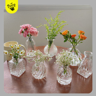 Bình thuỷ tinh decor các mẫu