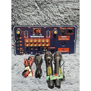 Bo mạch loa kéo T450S kèm micro UHF