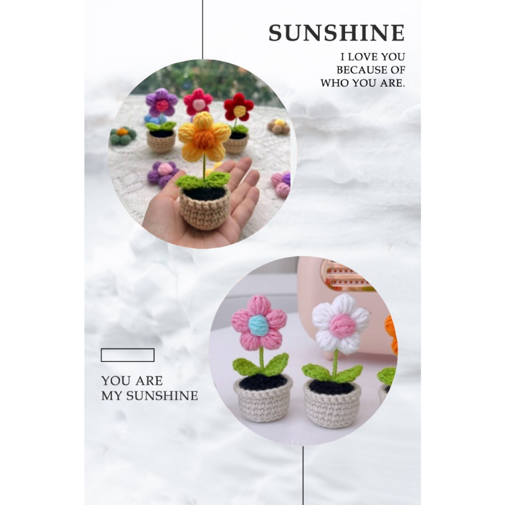 Chậu hoa mini 5 cánh bằng len