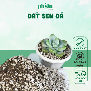 Đất trồng sen đá xương rồng, giá thể trồng cây kiểng lá túi 100gram