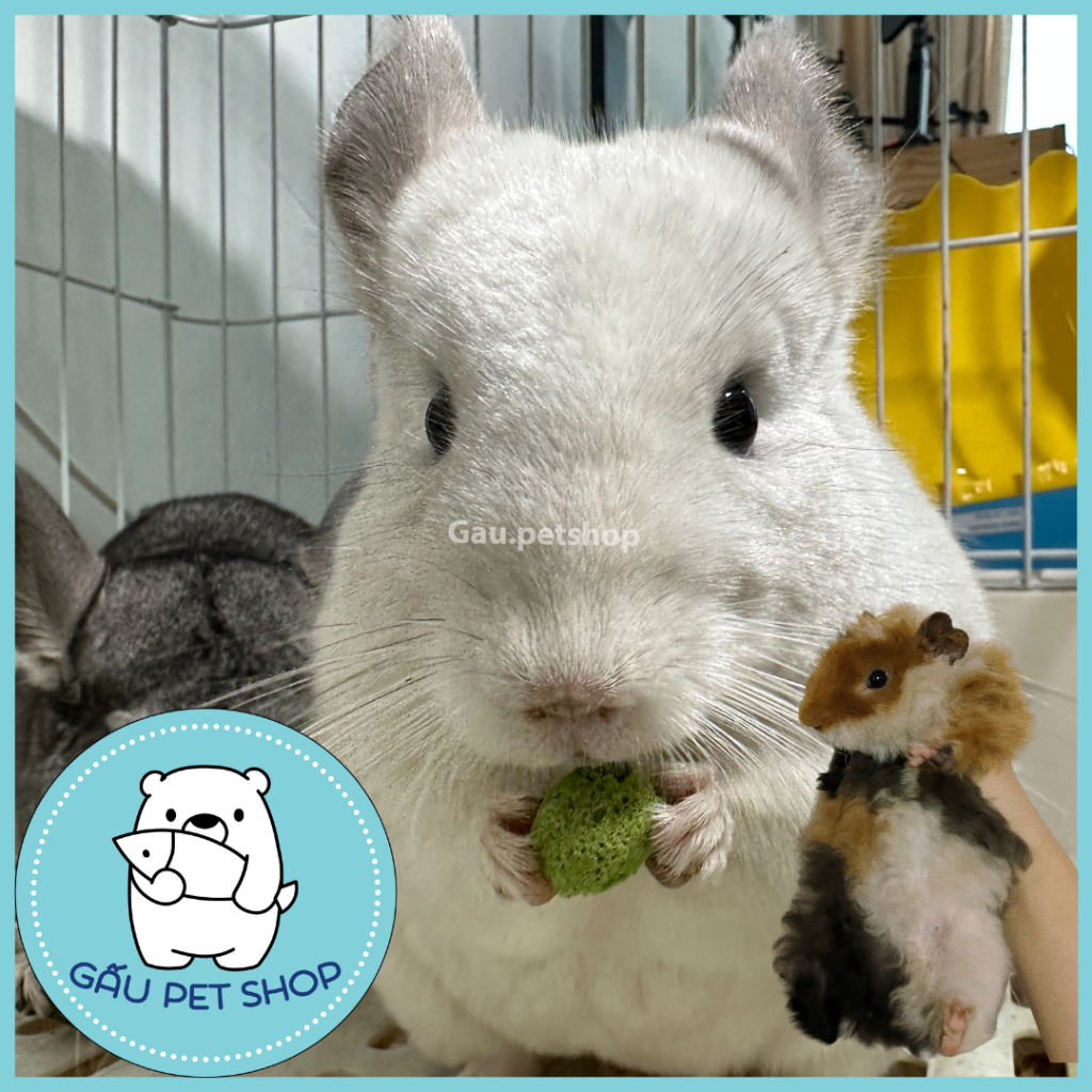 Bánh cỏ mài răng rau củ cho Hamster, Thỏ, Bọ ú, Chinchila,… - Gaupetshop