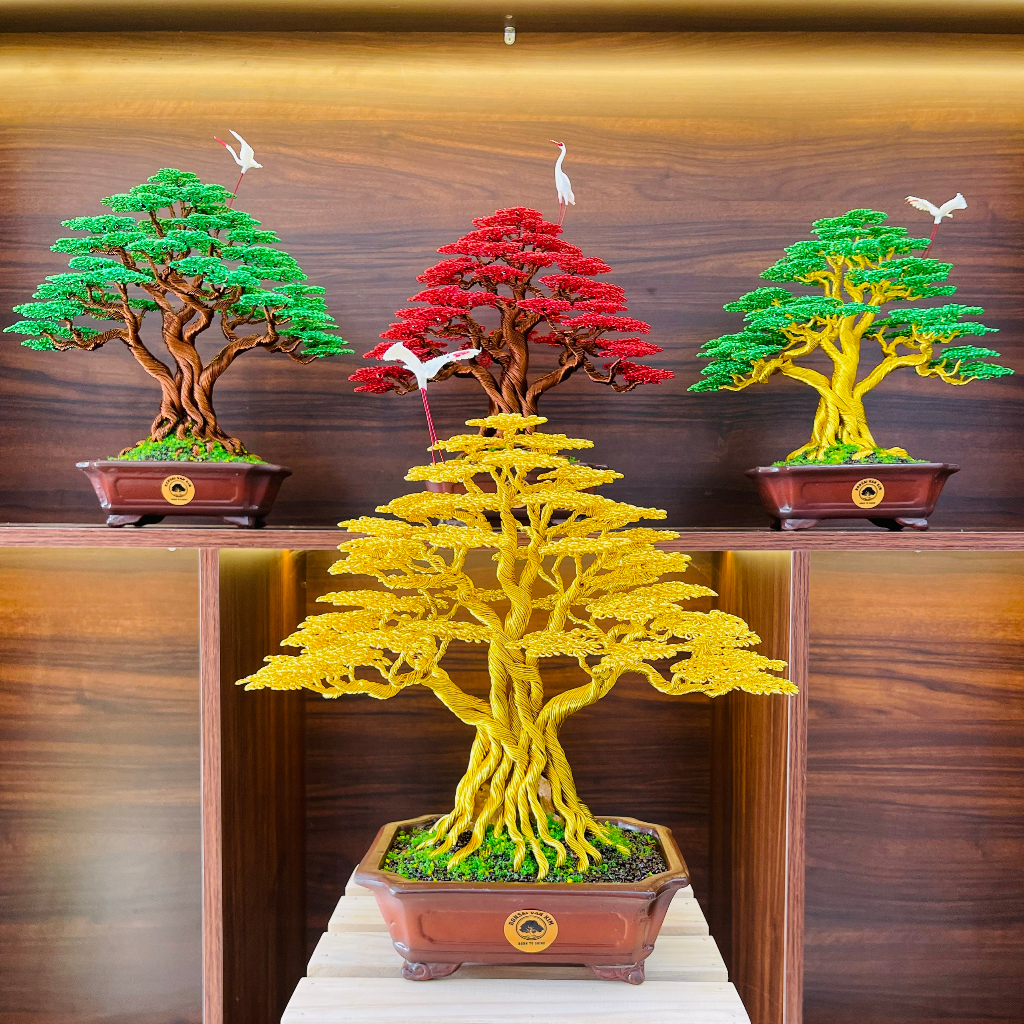 Cây bonsai đây đồng dáng lùn lực; Cây bonsai để bàn