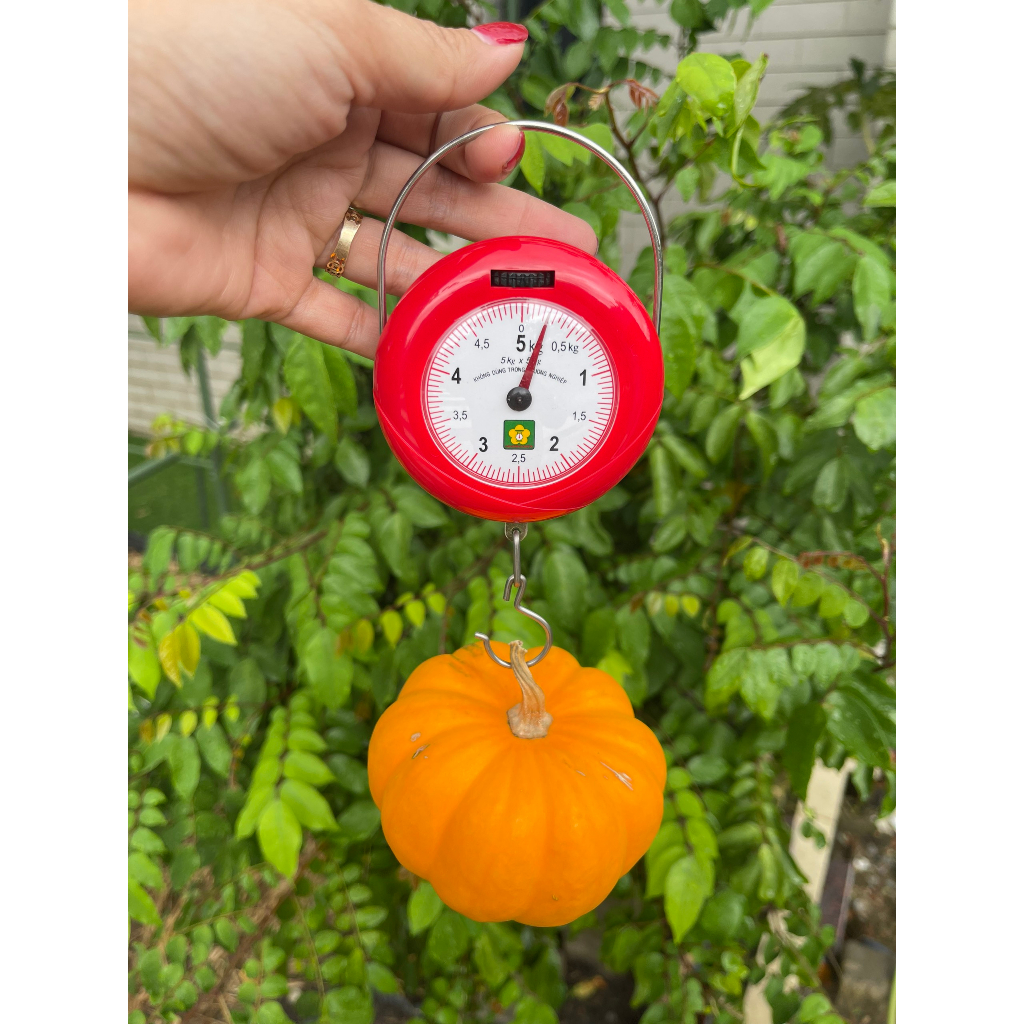 Cân treo mini 5kg chính hãng Nhơn Hòa