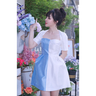 Vải tafta nhũ đẹp