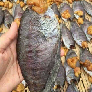 Cá sặc trứng 1 nắng khay 500gr (chỉ giao hoả tốc )