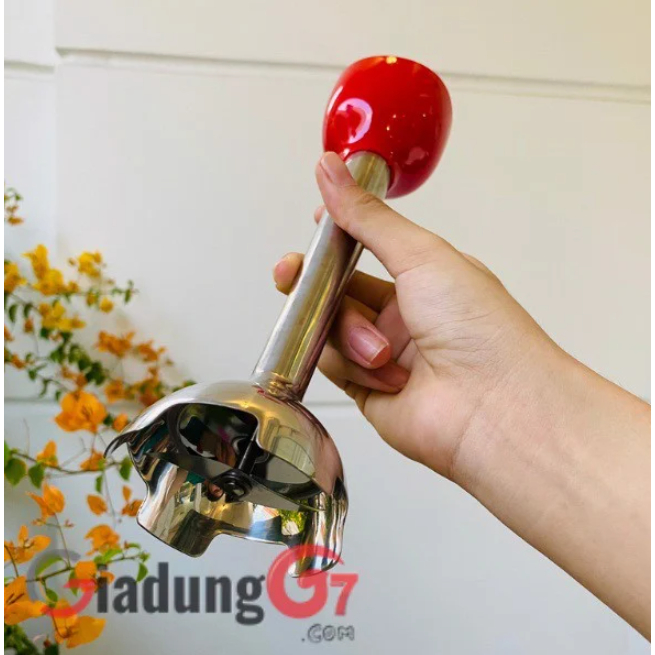 Máy Xay Cầm Tay Đa Năng Smeg HBF02, Máy Xay Đồ Ăn Dặm Cho Bé, Nhập Đức, BH 12 Tháng, Bepchauau