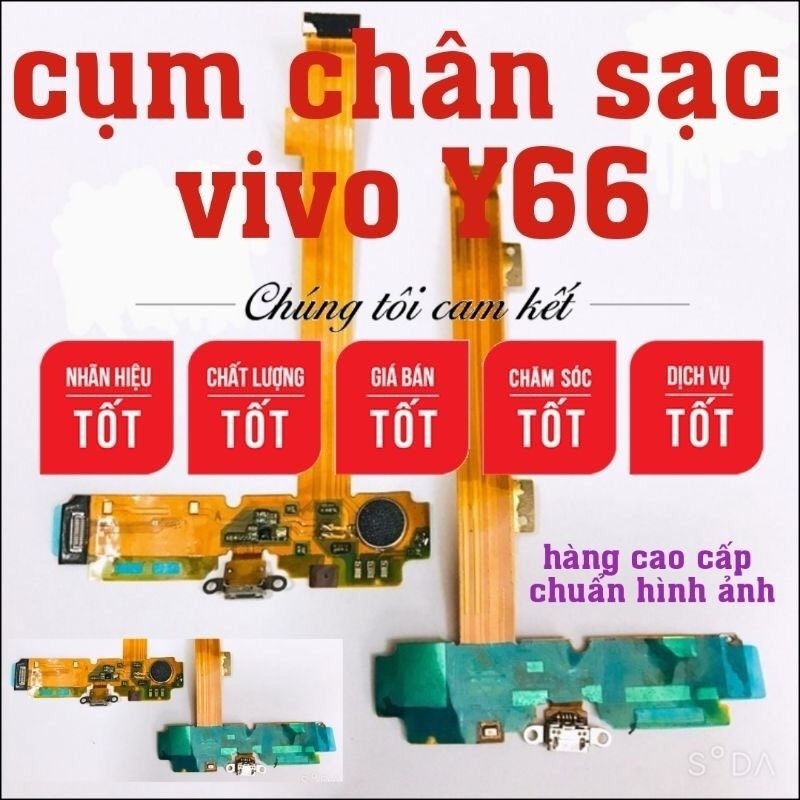 Chân sạc vivo Y66 loại xịn