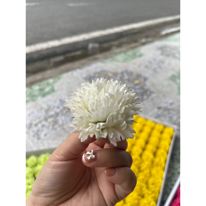 Hộp hoa sáp cẩm chướng