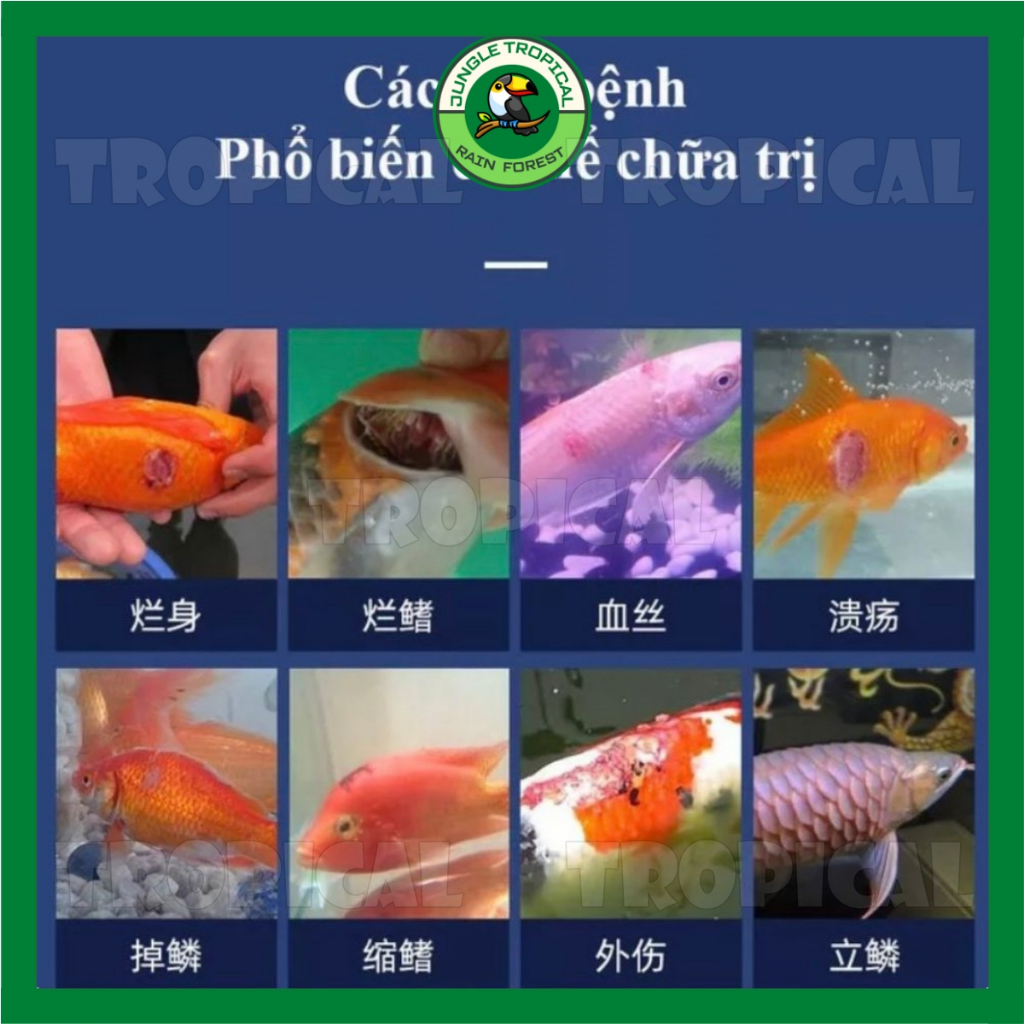 Biozym Bacterial Control - Chuyên xử lý thối thân, lở loét, viêm ruột cá cảnh thủy sinh - lẻ 1 tuýp