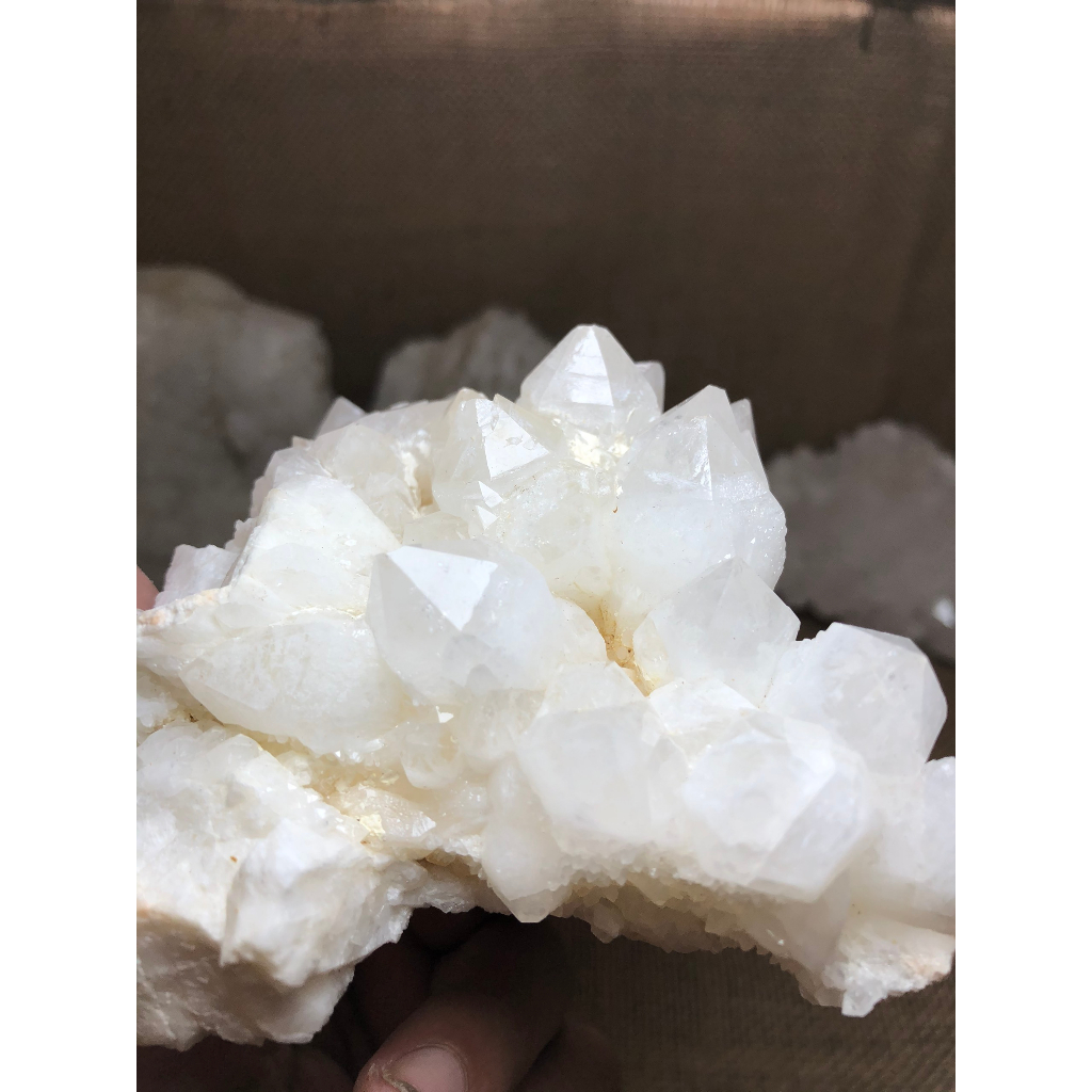 Giá sỉ Thạch anh trắng hàng tuyển chọn, trắng và trong đẹp, các chóp đều lành, bán theo kg, bán lẻ giá sỉ
