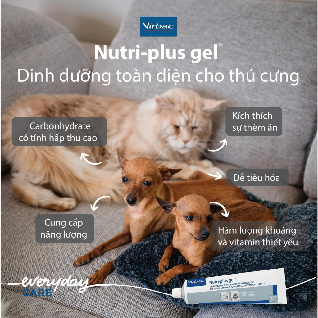 Gel dinh dưỡng Nutri-plus Virbac dành cho chó mèo