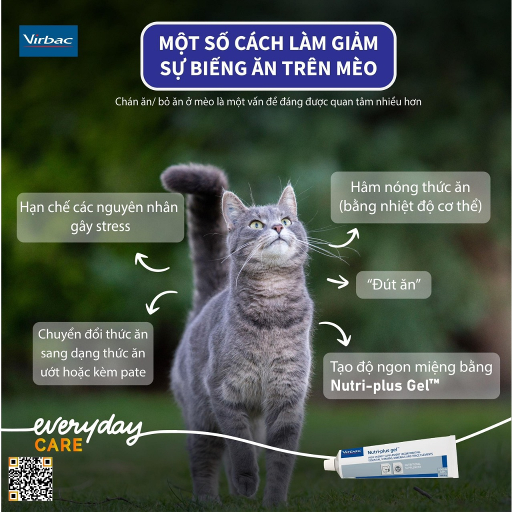 Gel dinh dưỡng Nutri-plus Virbac dành cho chó mèo