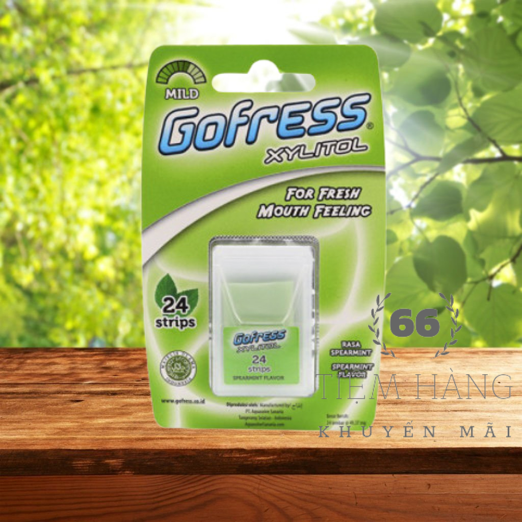 KẸO LÁ NGẬM THƠM MIỆNG GOFRESS VĨ 24 LÁ