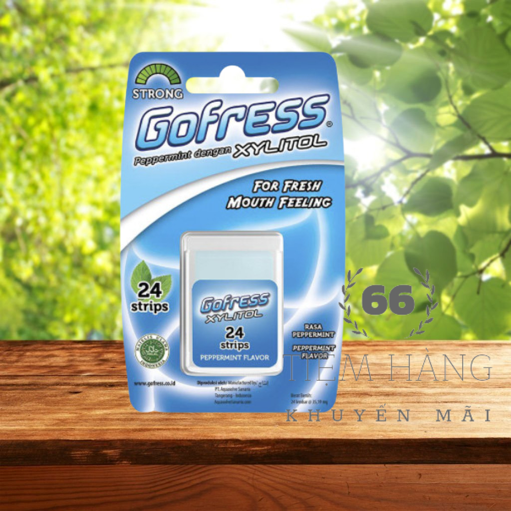 KẸO LÁ NGẬM THƠM MIỆNG GOFRESS VĨ 24 LÁ