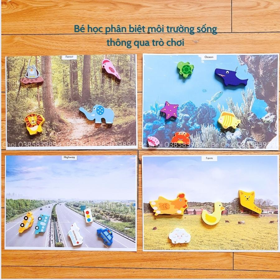 Đồ chơi sáng tạo xếp hình bằng gỗ nhiều cách chơi kích thích trí tưởng tượng và sáng tạo