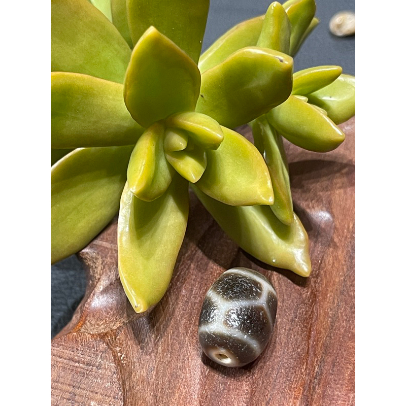 Dzi tây tạng tini mai rua  đá già đanh,vảy rồng size 17*12mm