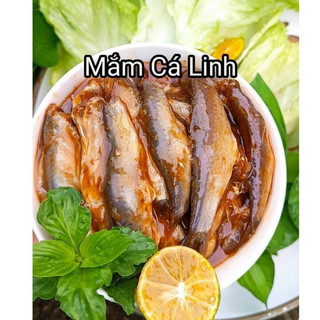 Mắm cá linh châu đốc hàng loại 1