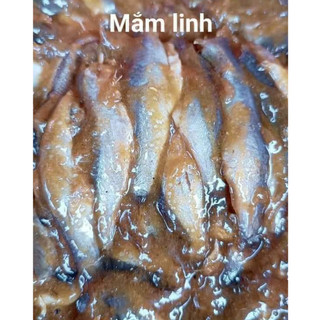 Mắm cá linh châu đốc hàng loại 1
