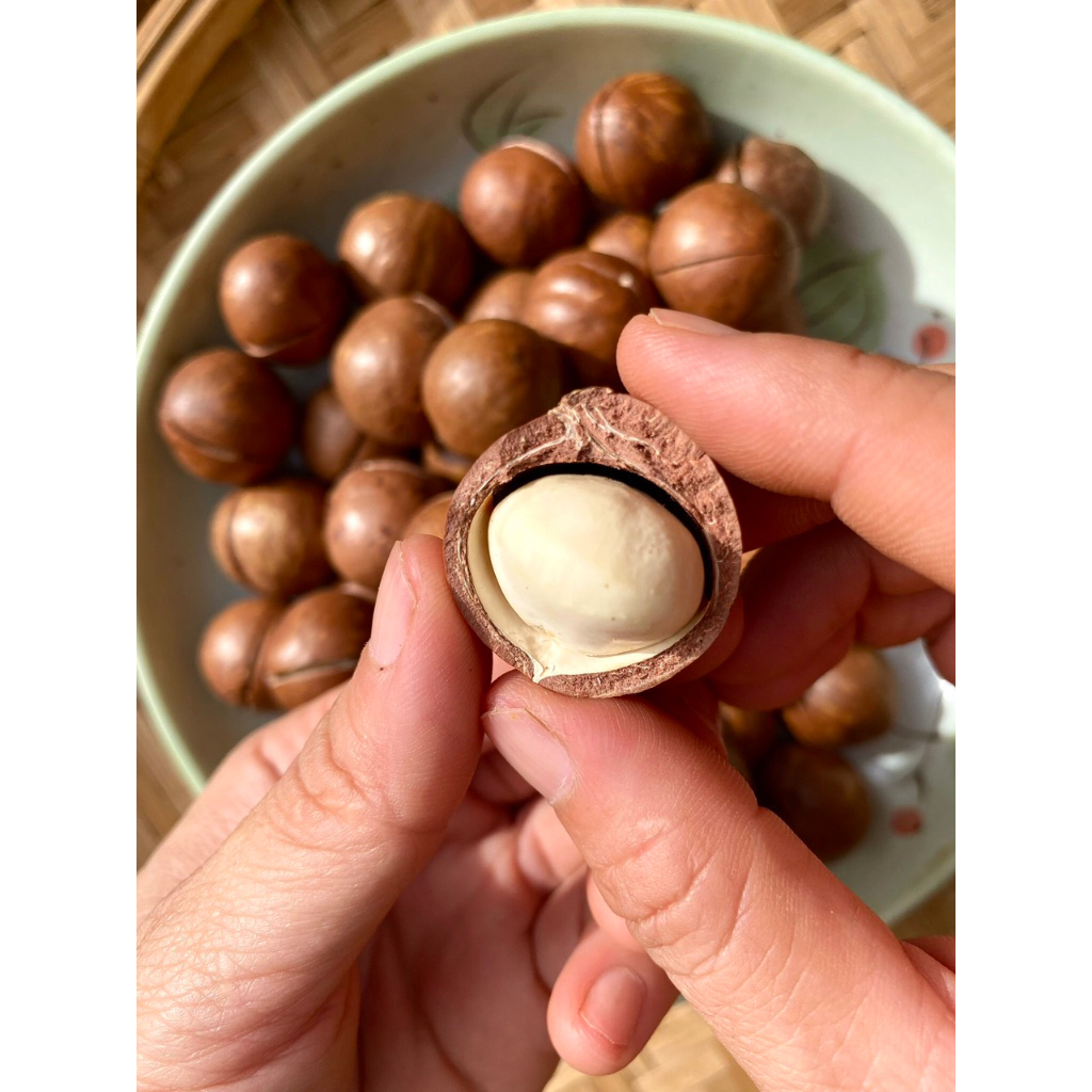 Combo hạt điều và hạt macca size trung