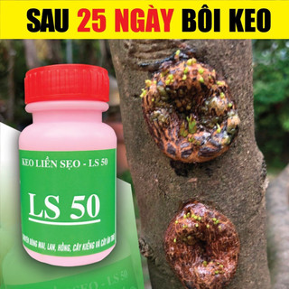 Keo Liền Da Cây LS50 - Keo Liền Sẹo Cho Cây Cực Nhanh, Cây Khỏe, Không Suy, Không Dộp, Vết Sẹo Khỏe Đẹp