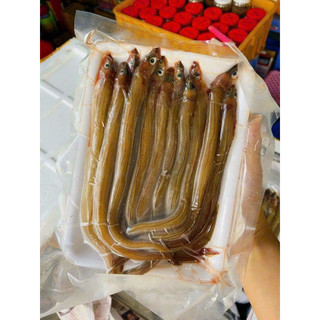 Cá sụn xịn khay 500gr (chỉ giao hoả tốc )
