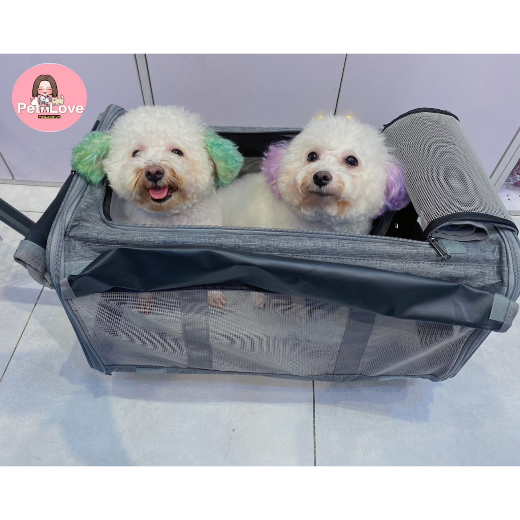 TÚI ĐỰNG THÚ CƯNG CỠ LỚN CÓ TAY KÉO VÀ BÁNH XE THÁO RỜI