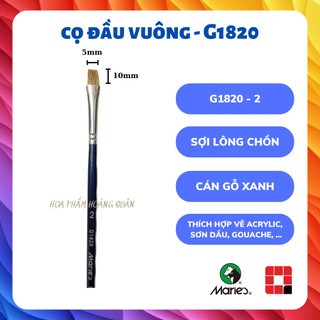 CỌ ĐẦU VUÔNG MARIES - G1820