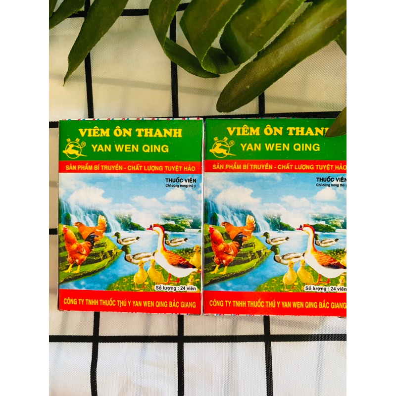 Combo 5 vỉ viêm ôn thanh