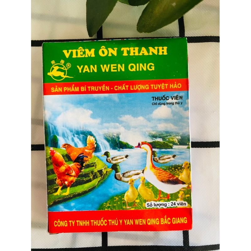 Combo 5 vỉ viêm ôn thanh